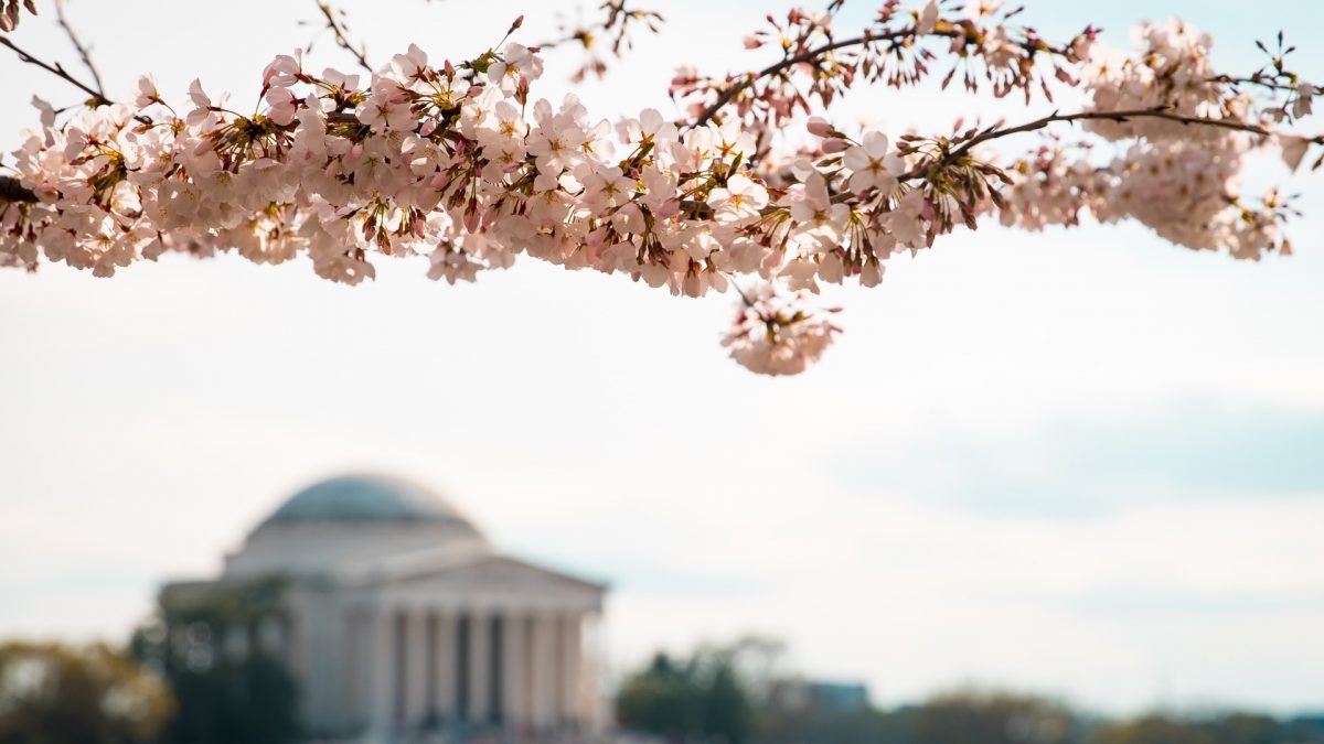 Spring Fling: DC Events You Don’t Want to Miss
