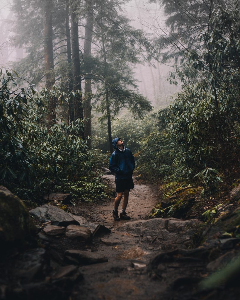 Man hiking in forest