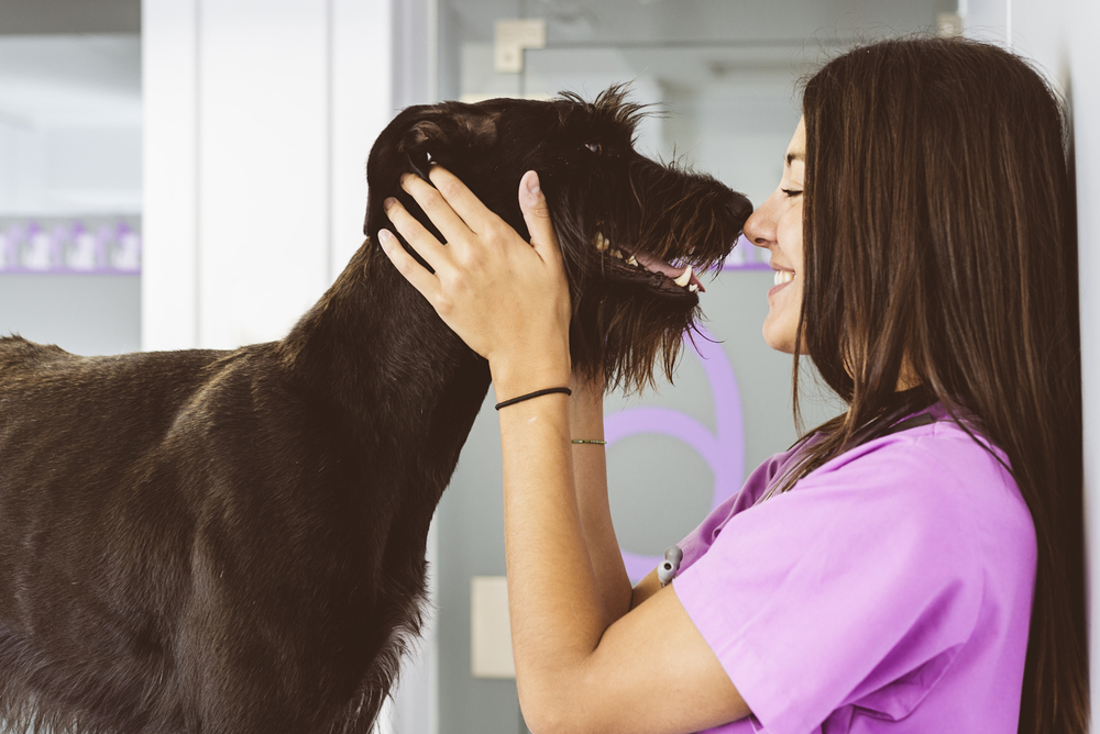 Veterinarian doctor hugging a beautiful dog. 