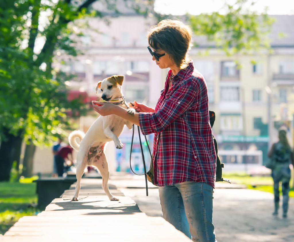 Woman in a city park with a dog